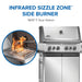 Napoleon Prestige 500 Connected RSIB Gas Grill Napoleon Dreamwood Living