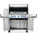 Napoleon Prestige 665 RSIB Gas Grill Napoleon Dreamwood Living