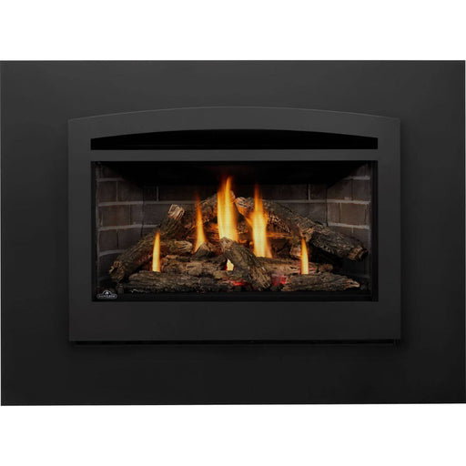 Napoleon Rosedale 3 Single Sided Gas Insert Napoleon Hearth Dreamwood Living