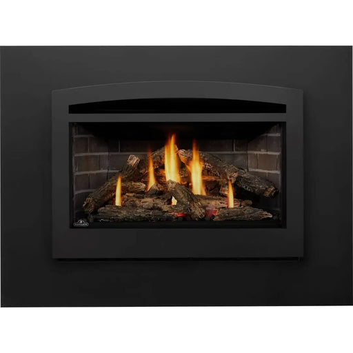 Napoleon Rosedale 3 Single Sided Gas Insert Napoleon Hearth Dreamwood Living