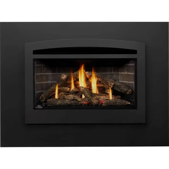 Napoleon Rosedale 3 Single Sided Gas Insert Napoleon Hearth Dreamwood Living