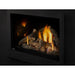 Napoleon Rosedale 3 Single Sided Gas Insert Napoleon Hearth Dreamwood Living