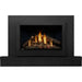 Napoleon Rosedale 3 Single Sided Gas Insert Napoleon Hearth Dreamwood Living