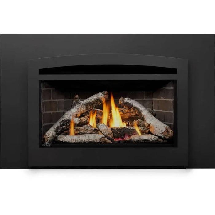 Napoleon Rosedale 3 Single Sided Gas Insert Napoleon Hearth Dreamwood Living