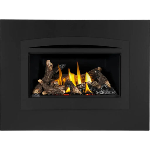 Napoleon Rosedale™ Series Gas Fireplace Insert - RD2NE Napoleon Hearth Dreamwood Living