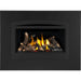 Napoleon Rosedale™ Series Gas Fireplace Insert - RD2NE Napoleon Hearth Dreamwood Living