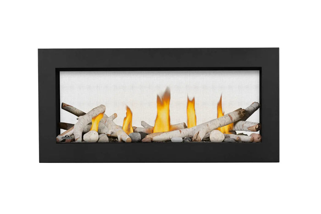 Napoleon Vector 38 See-Through Direct Vent Gas Fireplace Napoleon Hearth Dreamwood Living
