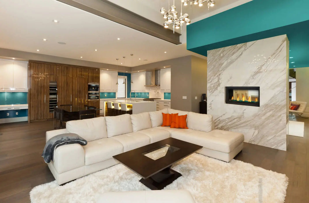 Napoleon Vector 38 See-Through Direct Vent Gas Fireplace Napoleon Hearth Dreamwood Living