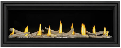 Napoleon Vector 50 Direct Vent Linear Gas Fireplace Napoleon Hearth Dreamwood Living