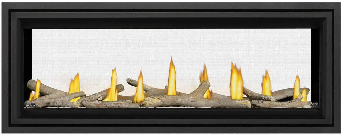 Napoleon Vector 50 See-Through Direct Vent Gas Fireplace Napoleon Hearth Dreamwood Living