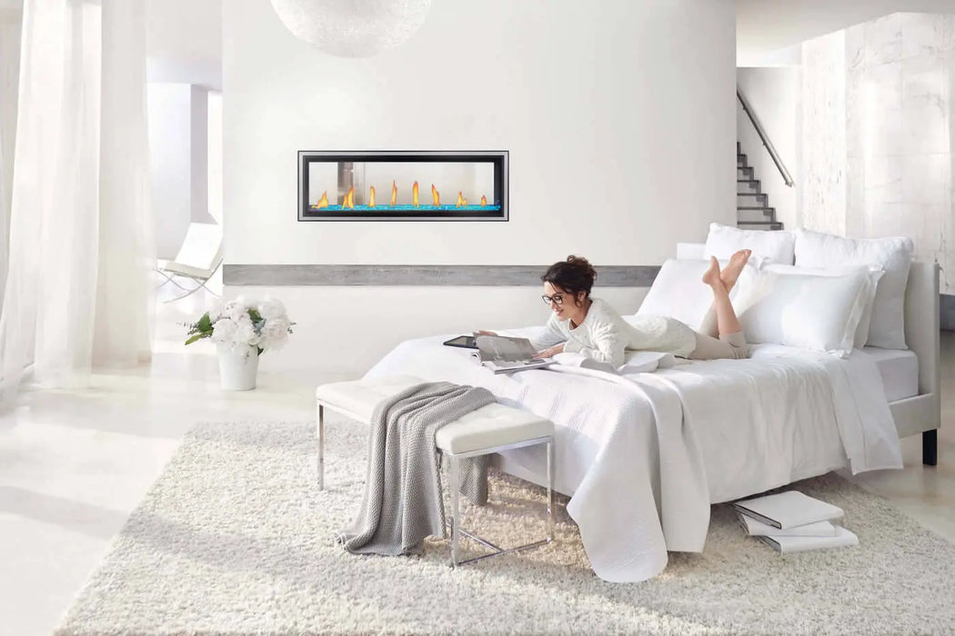 Napoleon Vector 50 See-Through Direct Vent Gas Fireplace Napoleon Hearth Dreamwood Living