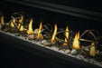 Napoleon Vector 38 See-Through Direct Vent Gas Fireplace Napoleon Hearth Dreamwood Living