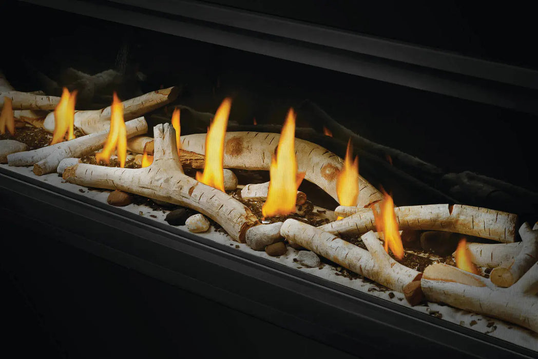 Napoleon Vector 38 See-Through Direct Vent Gas Fireplace Napoleon Hearth Dreamwood Living
