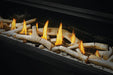 Napoleon Vector 38 See-Through Direct Vent Gas Fireplace Napoleon Hearth Dreamwood Living