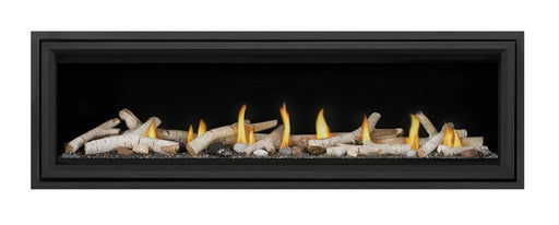 Napoleon Vector 62 Direct Vent Gas Fireplace Napoleon Hearth Dreamwood Living