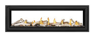 Napoleon Vector 62 Direct Vent See-Through Gas Fireplace Napoleon Hearth Dreamwood Living