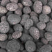 The Outdoor Plus Polished Lava 2" - 3" (50 lb) OPT-PL-50