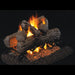 Real Fyre 42" Classic Series Golden Oak See Thru Vented Gas Log Set Real Fyre Dreamwood Living