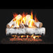 Real Fyre 24" Designer Series White Birch Vented Gas Log Set Real Fyre Dreamwood Living