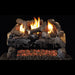 Real Fyre 16"/18" Evening Fyre Charred See Thru Vent-Free Gas Log Set with G18 Burner System Real Fyre Dreamwood Living