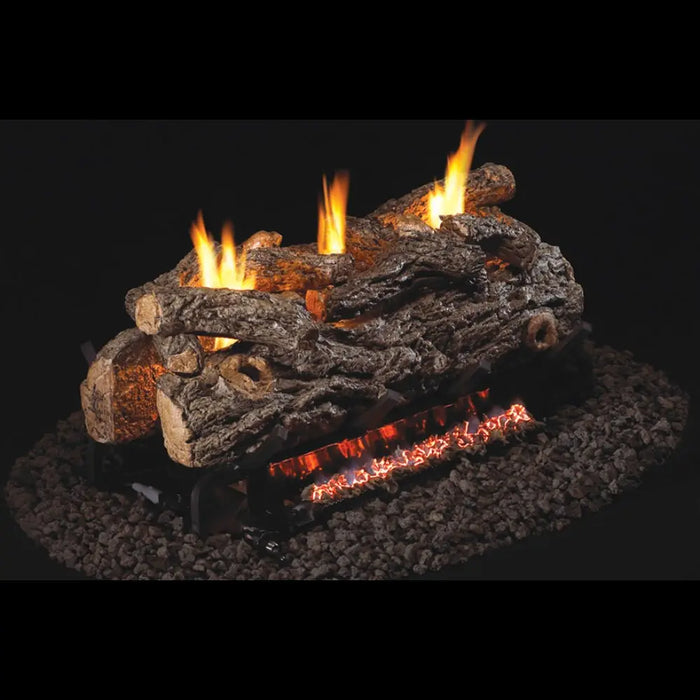 Real Fyre 24" Golden Oak Designer See Thru Vent-Free Gas Log Set with G9 Burner System Real Fyre Dreamwood Living