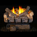 Real Fyre 16" Valley Oak Vent-Free Gas Log Set with G8E Burner System Real Fyre Dreamwood Living