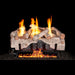 Real Fyre 30" Charred Alpine Birch Vent-Free Gas Log Set with G10 Burner System Real Fyre Dreamwood Living