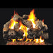 Real Fyre 42" Charred Royal English Oak See Thru Vented Gas Log Set Real Fyre Dreamwood Living