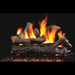 Real Fyre 36" Classic Series Coastal Driftwood See Thru Vented Gas Log Set Real Fyre Dreamwood Living