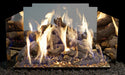 gas logs burning in front of a polished stainless steel contemporary fyreback