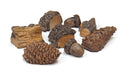 ceramic wood chips, pine cones and acorns from a decor pack
