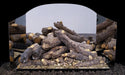 gas logs in front of a polished stainless steel three-panel fyreback