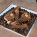 The Outdoor GreatRoom Company Outdoor Ceramic Fiber Log Set The Outdoor GreatRoom Company Dreamwood Living