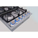 Thor 36" Drop-in Propane Gas Cooktop in Stainless Steel, TGC3601LP Thor Kitchen