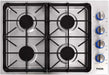 Thor Kitchen 30" Drop-in Natural Gas Cooktop in Stainless Steel, TGC3001 Thor Kitchen