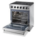 Thor Kitchen 30" Professional Natural Gas Range in Stainless Steel, LRG3001U Thor Kitchen