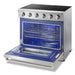 Thor Kitchen 36" Professional Electric Range in Stainless Steel, HRE3601 Thor Kitchen