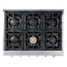 Thor Kitchen 36" Propane Gas Cooktop with 6 Burners in Stainless Steel, HRT3618ULP Thor Kitchen