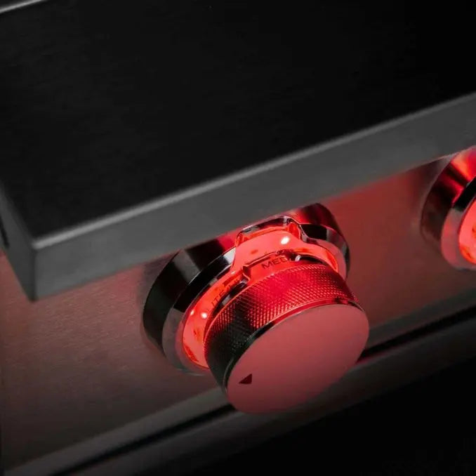 TrueFlame Double Side Burner - TFSB2 TrueFlame Dreamwood Living