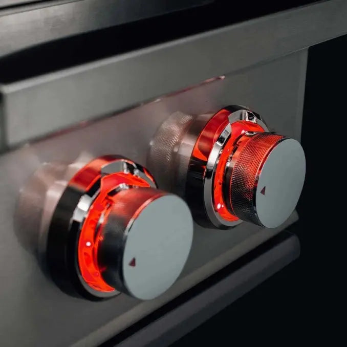 TrueFlame Double Side Burner - TFSB2 TrueFlame Dreamwood Living