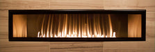 Empire Boulevard 60 vent-free linear with stainless steel liner and 1-1/2 inch trim kit