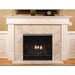 White Mountain Hearth 36" Tahoe Clean Face Direct Vent Deluxe Fireplace - Millivolt Control Series White Mountain Hearth