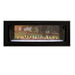 White Mountain Hearth 48" Boulevard Direct Vent See-Through Linear Gas Fireplace Empire Comfort Systems