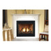White Mountain Hearth 48" Madison Premium Direct Vent Gas Fireplace Empire Comfort Systems