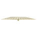 ZLINE 16 Inch Bliss Shower Head in Polished Gold, BLS-H16-PG ZLINE Dreamwood Living