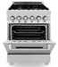 ZLINE 24" Dual Fuel Range in Stainless Steel with Brass Burners, RA-BR-24 ZLINE