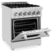 ZLINE 24" Dual Fuel Range in Stainless Steel with Brass Burners, RA-BR-24 ZLINE