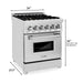 ZLINE 24" Dual Fuel Range in Stainless Steel with Brass Burners, RA-BR-24 ZLINE