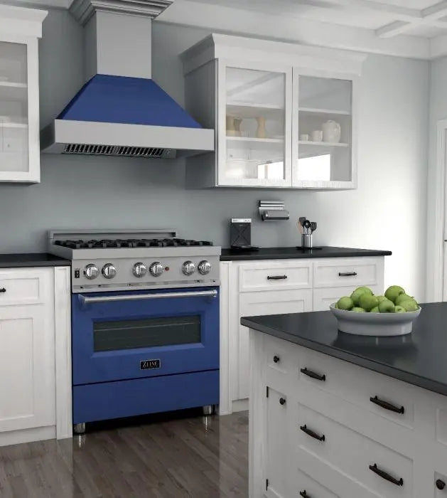 ZLINE 30" Dual Fuel Range in DuraSnow® Stainless with Blue Gloss Door, RAS-BG-30 ZLINE Dreamwood Living