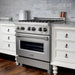 ZLINE 30" Dual Fuel Range in DuraSnow® Stainless with Brass Burners, RAS-SN-BR-30 ZLINE Dreamwood Living